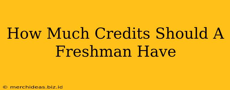 How Much Credits Should A Freshman Have