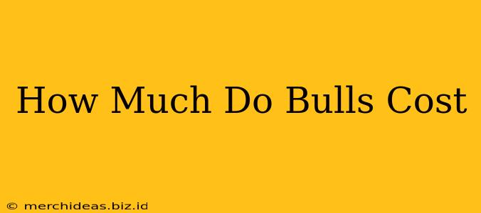 How Much Do Bulls Cost