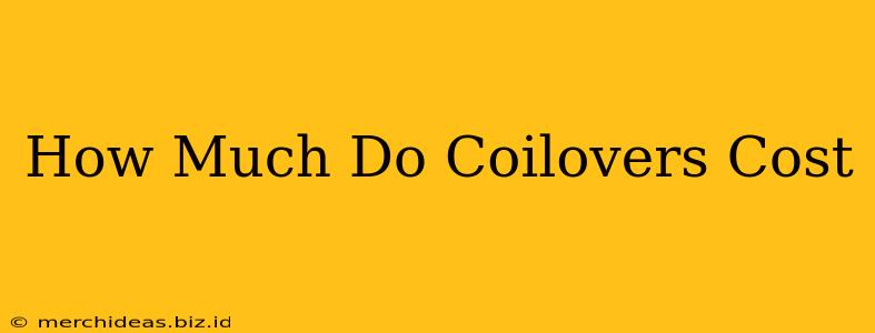 How Much Do Coilovers Cost