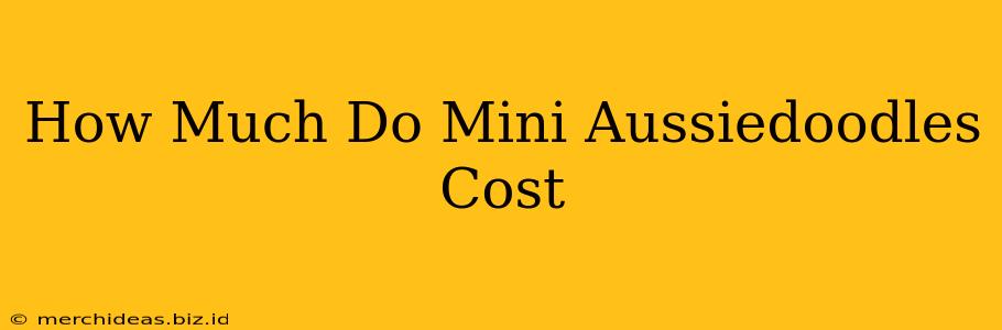 How Much Do Mini Aussiedoodles Cost
