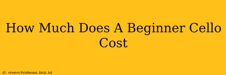 How Much Does A Beginner Cello Cost