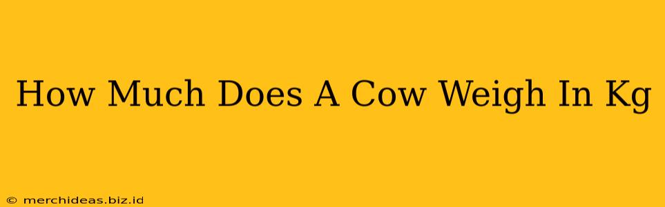 How Much Does A Cow Weigh In Kg