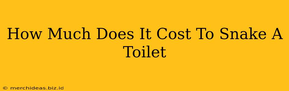 How Much Does It Cost To Snake A Toilet