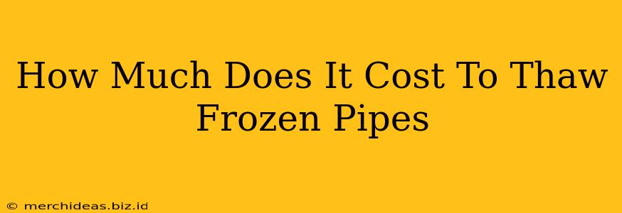 How Much Does It Cost To Thaw Frozen Pipes