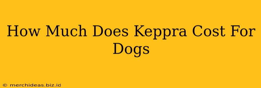 How Much Does Keppra Cost For Dogs