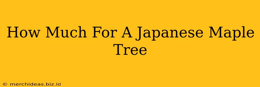 How Much For A Japanese Maple Tree