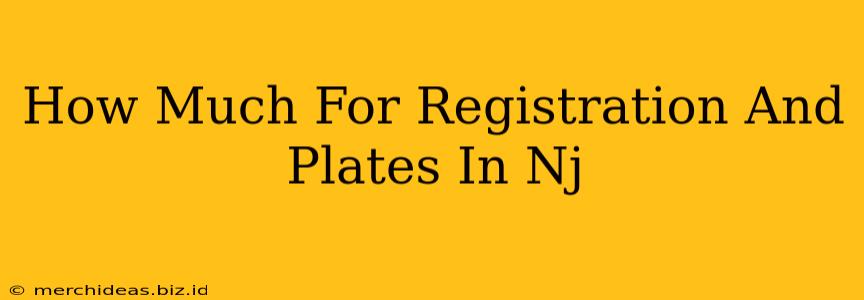How Much For Registration And Plates In Nj