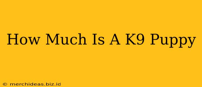 How Much Is A K9 Puppy