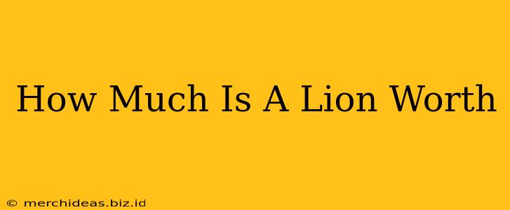 How Much Is A Lion Worth