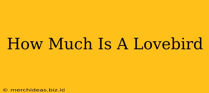 How Much Is A Lovebird