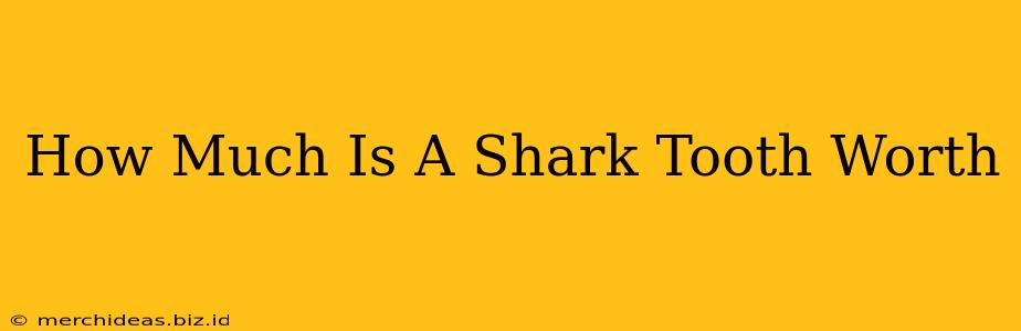 How Much Is A Shark Tooth Worth