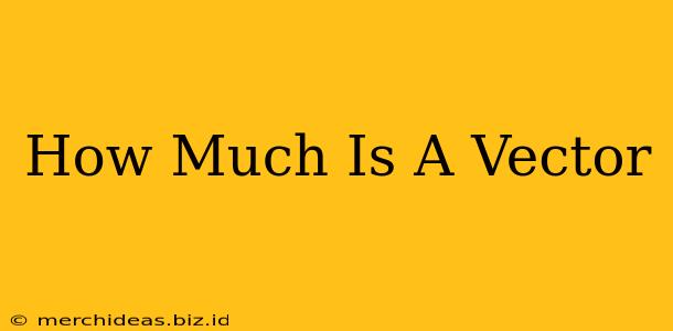 How Much Is A Vector