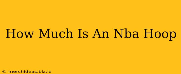 How Much Is An Nba Hoop