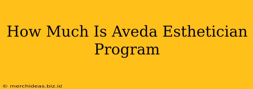 How Much Is Aveda Esthetician Program