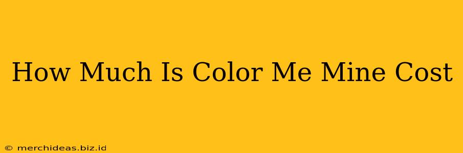 How Much Is Color Me Mine Cost