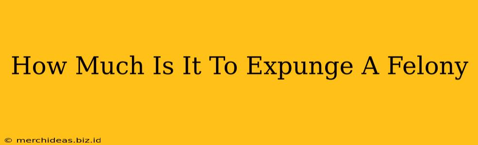 How Much Is It To Expunge A Felony