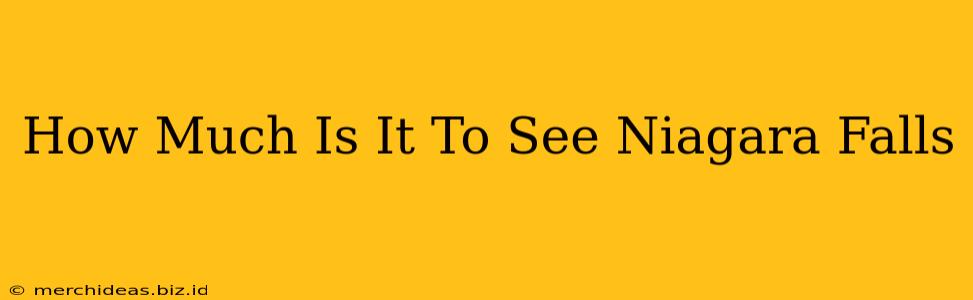How Much Is It To See Niagara Falls