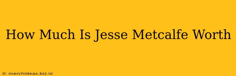 How Much Is Jesse Metcalfe Worth