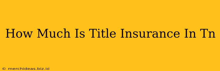 How Much Is Title Insurance In Tn