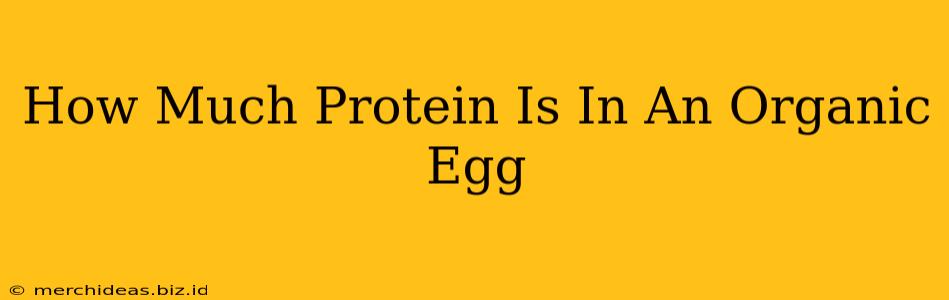 How Much Protein Is In An Organic Egg