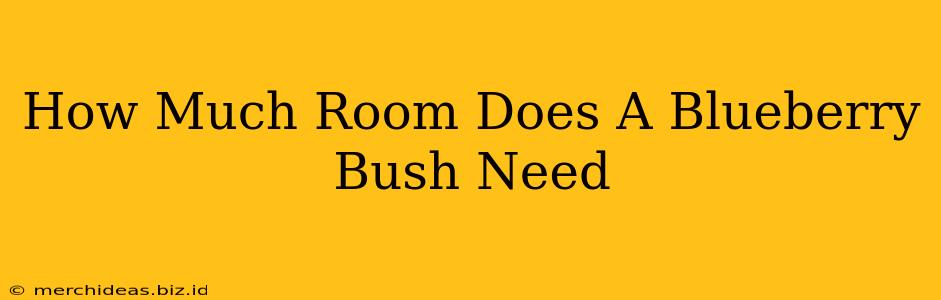 How Much Room Does A Blueberry Bush Need