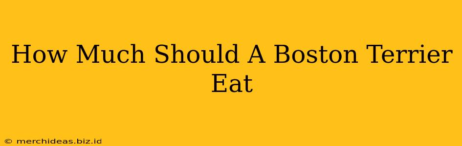 How Much Should A Boston Terrier Eat