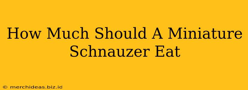 How Much Should A Miniature Schnauzer Eat
