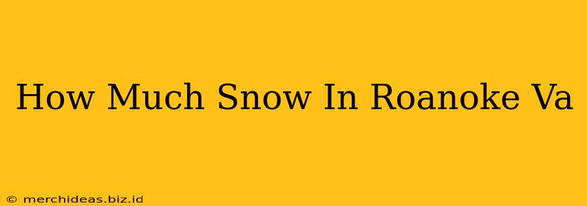 How Much Snow In Roanoke Va