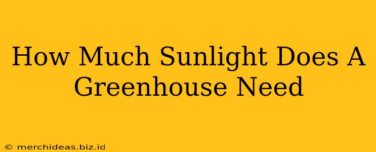 How Much Sunlight Does A Greenhouse Need