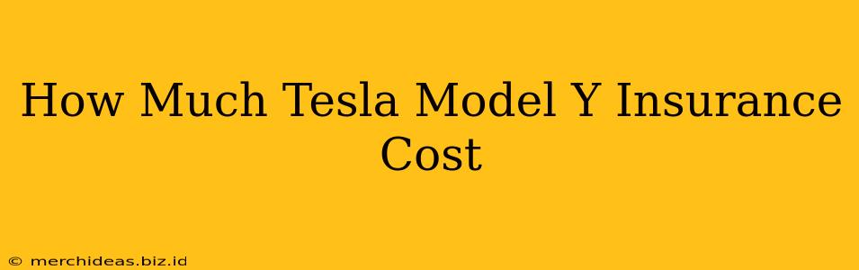 How Much Tesla Model Y Insurance Cost