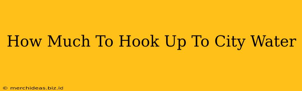 How Much To Hook Up To City Water