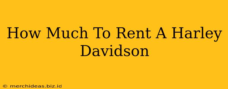 How Much To Rent A Harley Davidson
