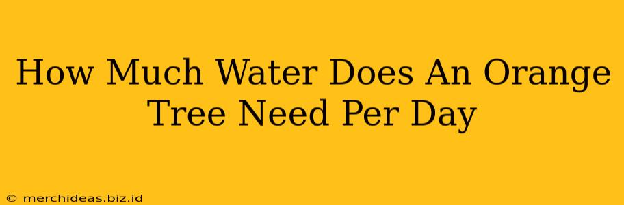 How Much Water Does An Orange Tree Need Per Day