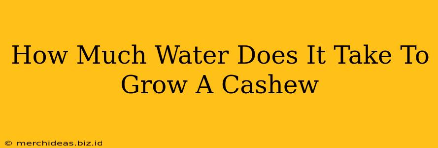 How Much Water Does It Take To Grow A Cashew