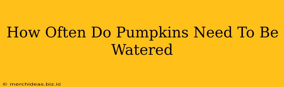 How Often Do Pumpkins Need To Be Watered