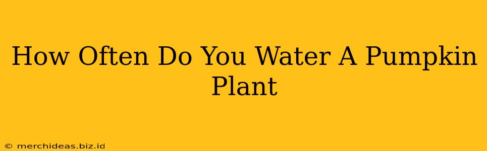 How Often Do You Water A Pumpkin Plant