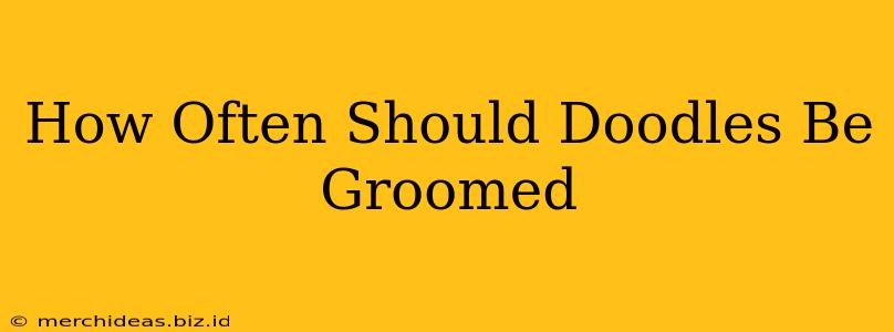 How Often Should Doodles Be Groomed