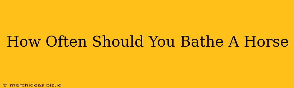 How Often Should You Bathe A Horse