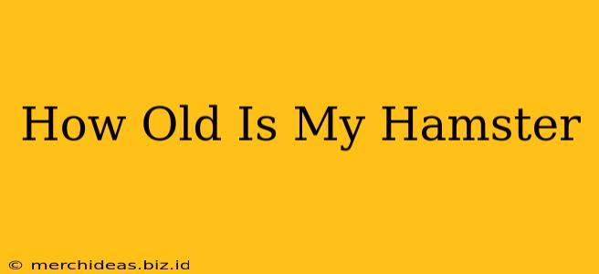 How Old Is My Hamster