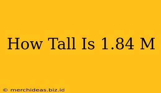 How Tall Is 1.84 M