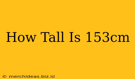 How Tall Is 153cm