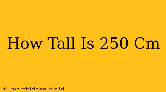 How Tall Is 250 Cm
