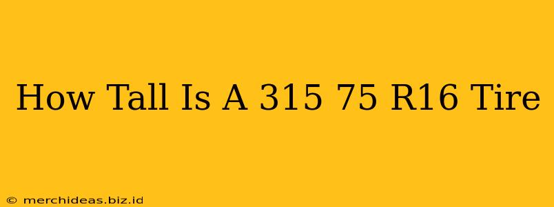 How Tall Is A 315 75 R16 Tire