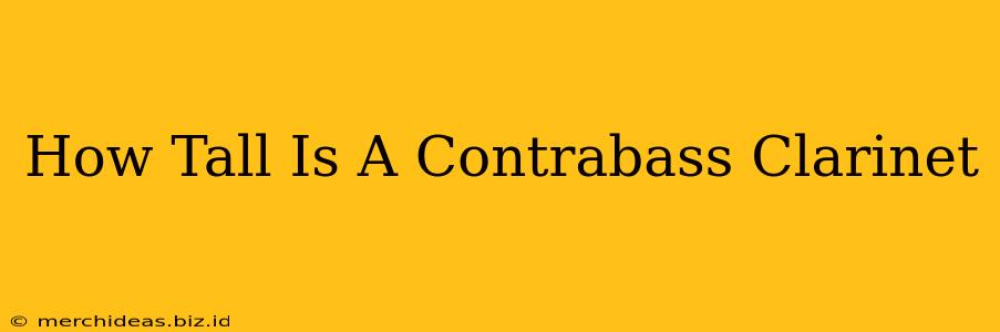 How Tall Is A Contrabass Clarinet