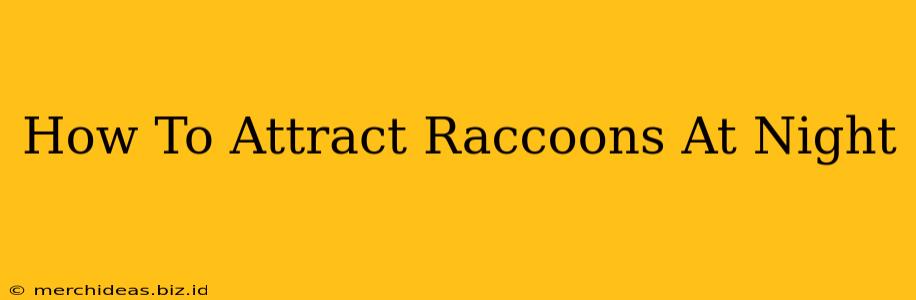 How To Attract Raccoons At Night