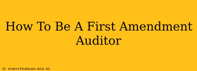 How To Be A First Amendment Auditor