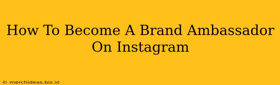 How To Become A Brand Ambassador On Instagram