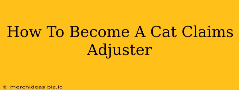 How To Become A Cat Claims Adjuster