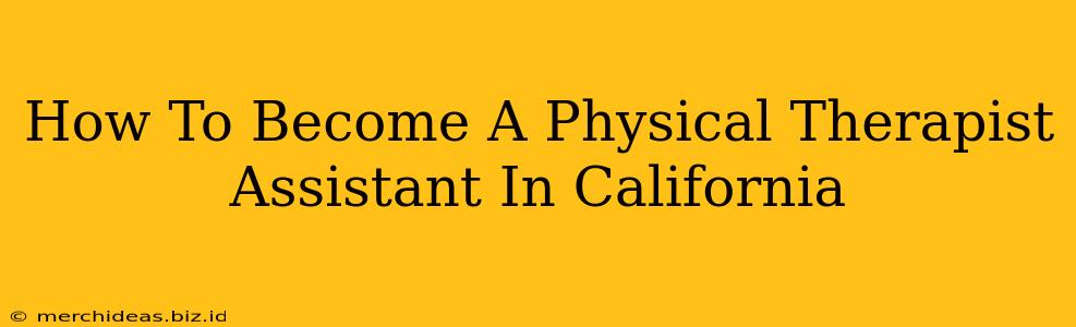 How To Become A Physical Therapist Assistant In California