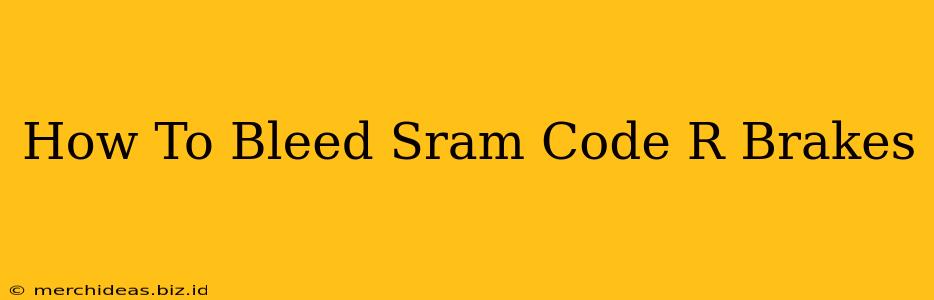 How To Bleed Sram Code R Brakes